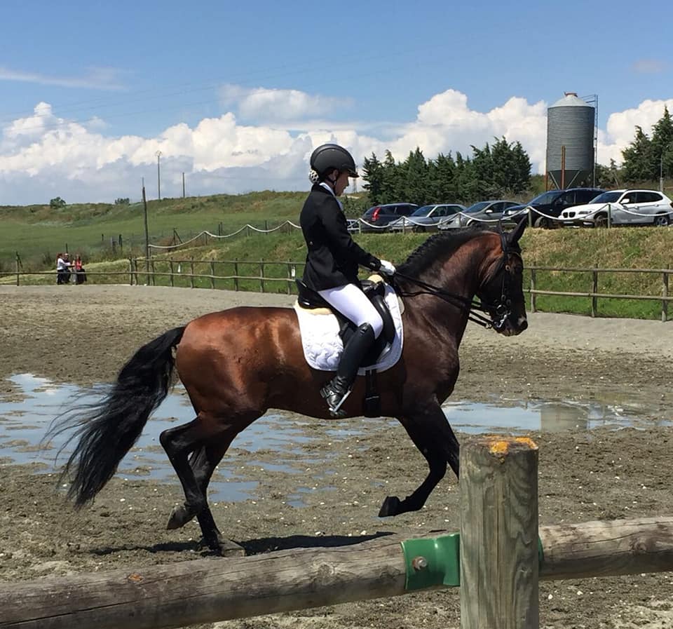 Resultados de la sexta fase del Campeonato Navarro de Doma Clásica, Doma Adaptada y JJDD 2018